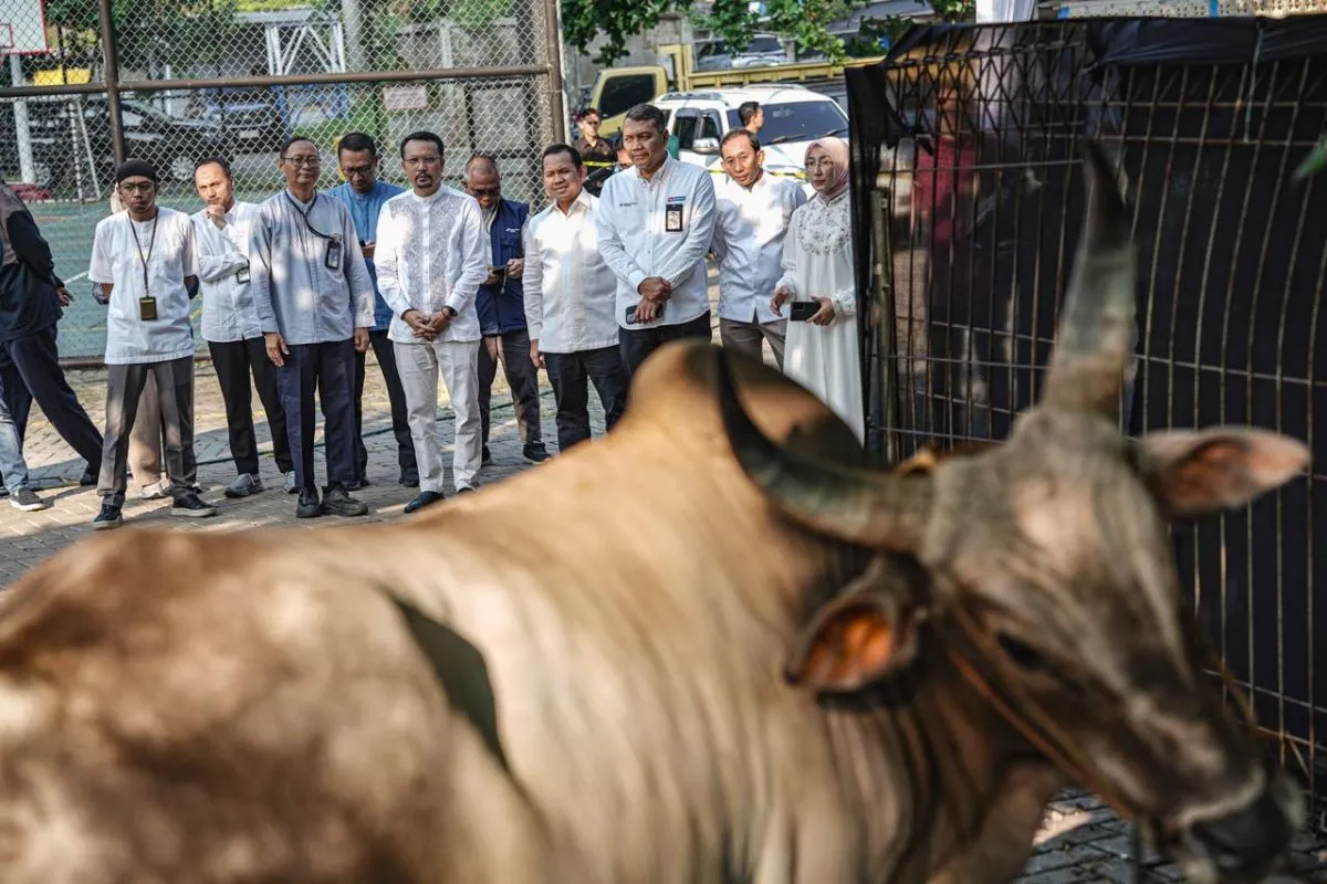 PT Pertamina Patra Niaga membagikan 2.031 hewan kurban pada momentum Hari Raya Idul Adha 1447 Hijriah