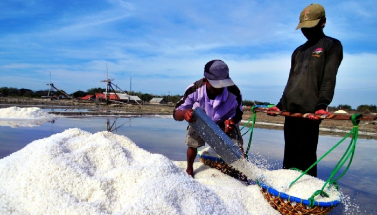 ILUSTRASI : Petani garam rakyat mengangkut hasil panen di salah satu tambak garam di Kabupaten Sumenep, Madura.