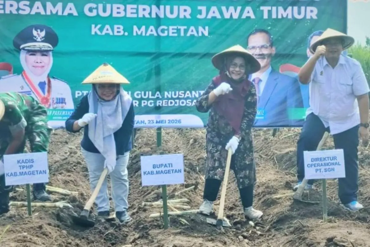 Percepat Sawaembada Gula, Magetan Gelar Bongkar Ratoon Tebu