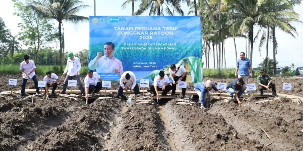 Dukung Swasembada, Pemkab Malang Target Bongkar Ratoon 7.500 Hektar