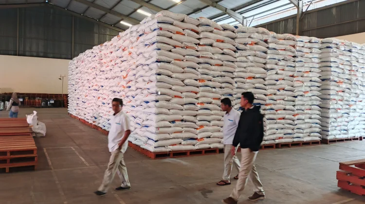 Pimpinan Cabang Bulog Bondowoso, Eko Yudi Miranto memantau stok gabah di gudang