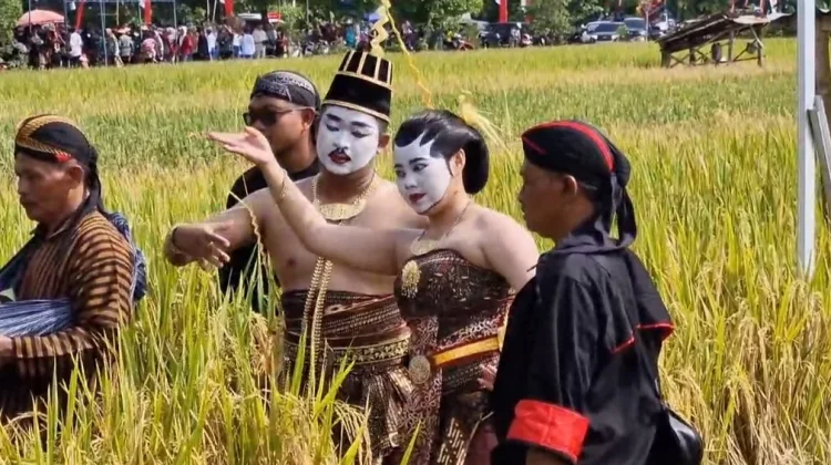 Methik Pari, Tradisi Masyarakat Desa Glinggang Ponorogo jelang Panen Raya