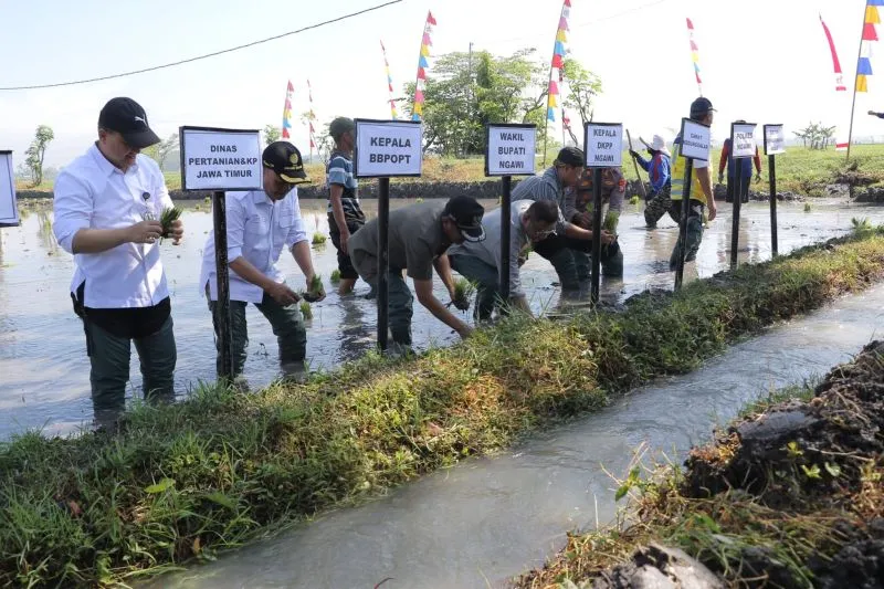 Produksi GKG Ngawi Triwulan I-2026 Capai 195.620 Ton