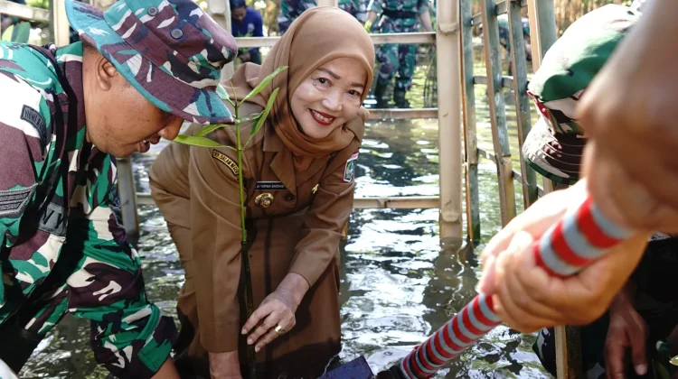 Pemkab Malang Proyeksikan Ekologis Mangrove Pantai Ngliyep dalam Pasar Karbon
