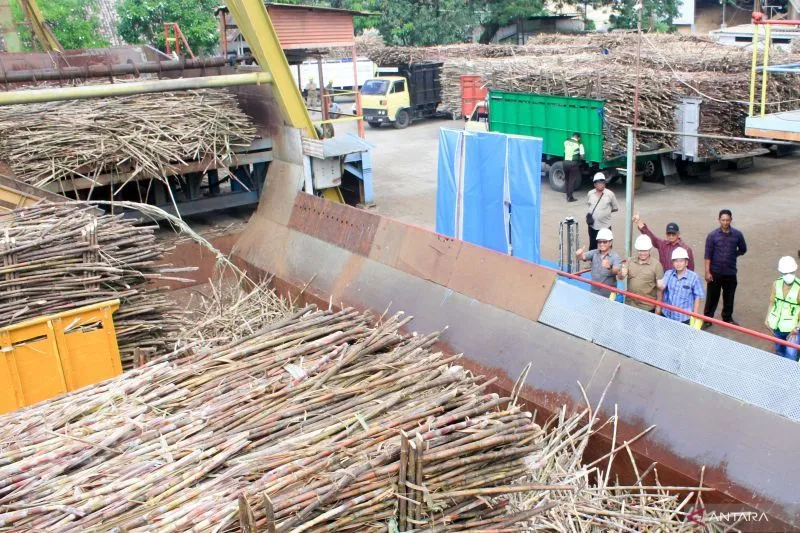 Tahun Ini PG Asembagoes Target Giling Tebu 540.670 Ton