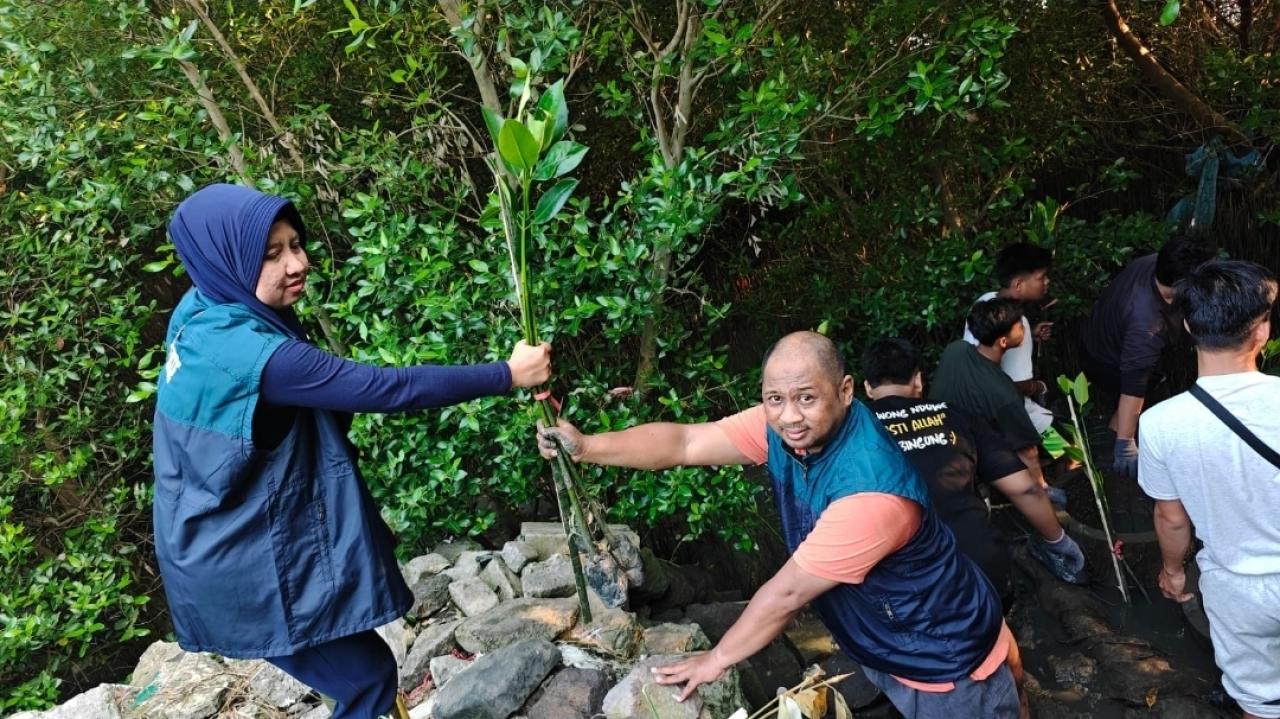 Perusahaan melakukan pelestarian hutan mangrove seluas 22,7 hektare di area kerja TPS