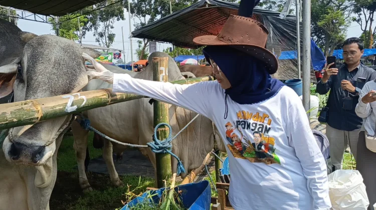 Pemkab Perketat Lalu Lintas Hewan Kurban Jelang Idul Adha