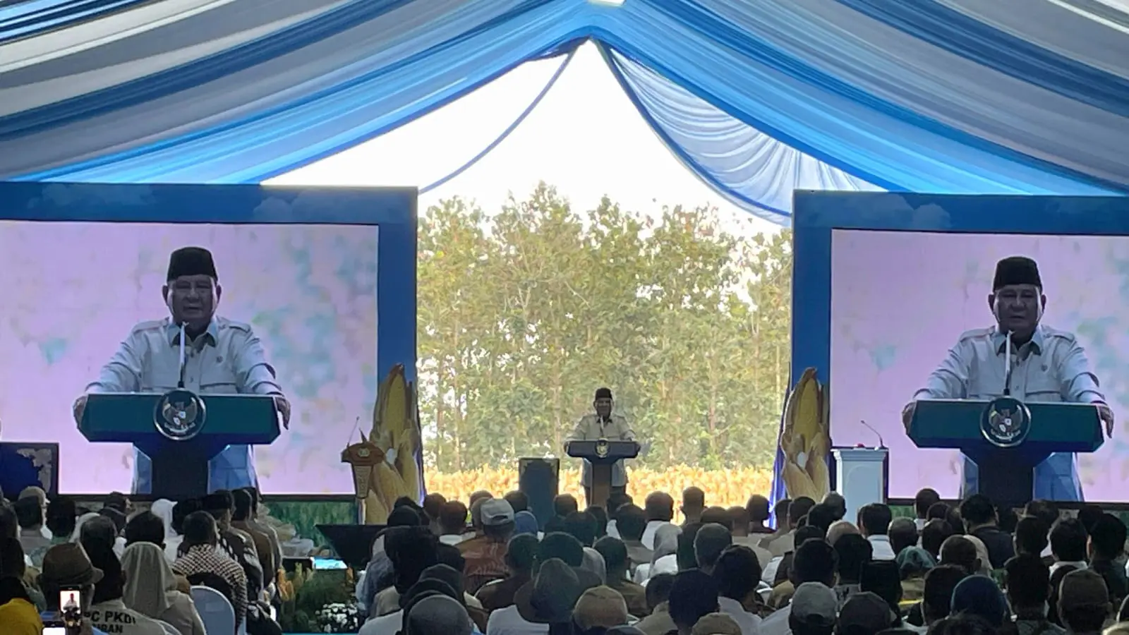 Swasembada Pangan Terwujud, Presiden Prabowo Ucapkan Terima Kasih