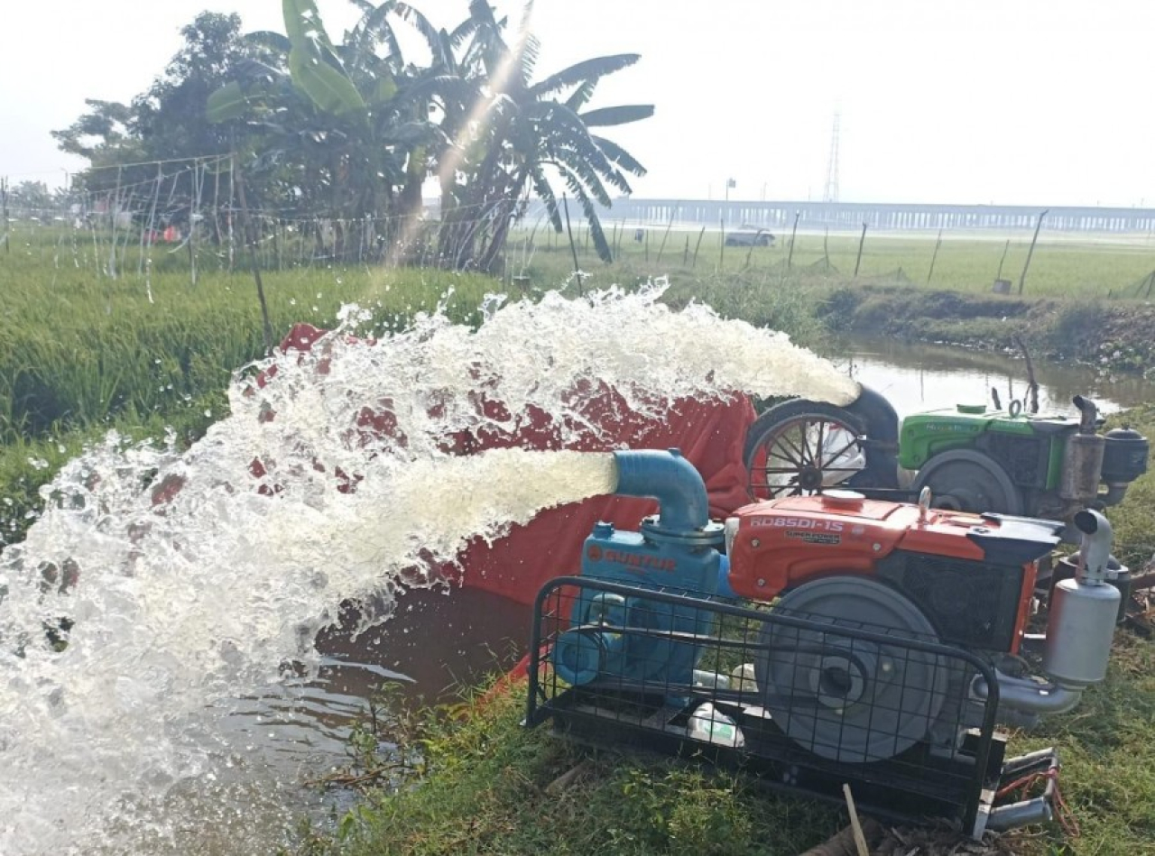 PLN menghadirkan Program SEDAP BANJAR (Sembada Pangan Melalui Electrifying Agriculture) di Desa Banjarsari, Kecamatan Cerme, Kabupaten Gresik