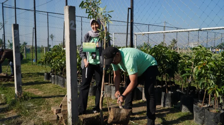 Pegadaian Lakukan Penanaman 240 Pohon di Malang