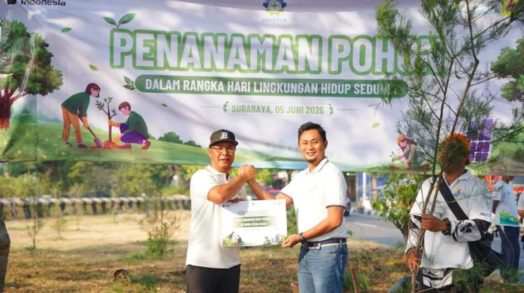 PLN UID Jatim dan DLH Surabaya Tanam 60 Cemara Udang di Bulak Banteng