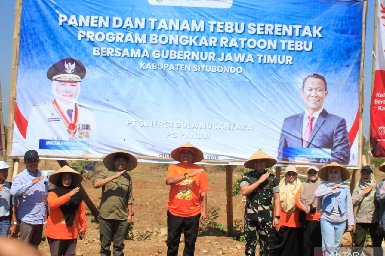 Bupati Rio saat kegiatan panen dan tanam tebu serentak program Bongkar Ratoon bersama Gubernur Jawa Timur Khofifah Indar Parawansa secara virtual di Desa Juglangan, Kecamatan Panji, Situbondo