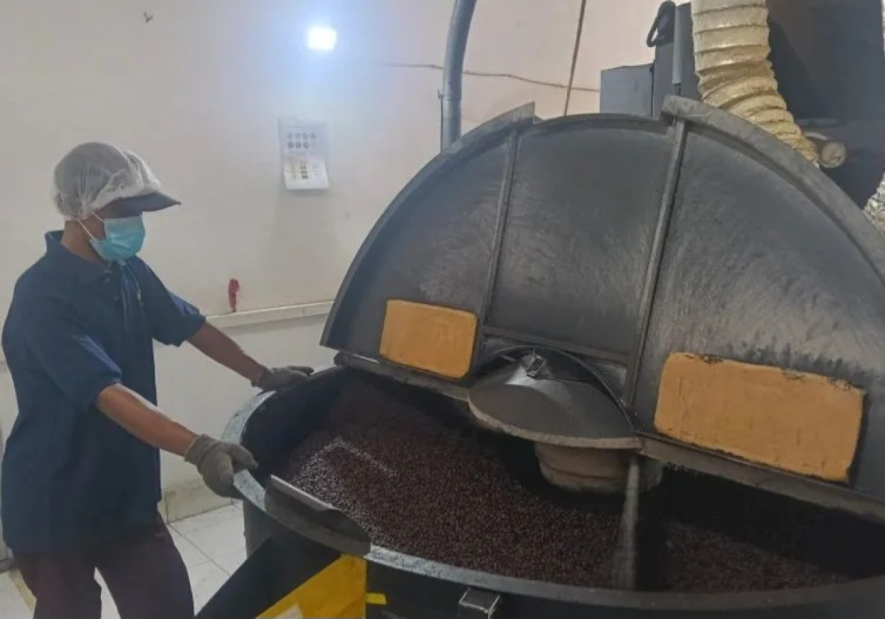 Pengolahan kopi robusta organik dengan cita rasa tinggi karena ditanam secara organik dan bebas pestisida kimia.