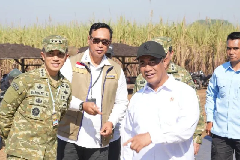 Hingga Juli, Bulog Realisasikan Serap Gabah 3,39 Juta Ton