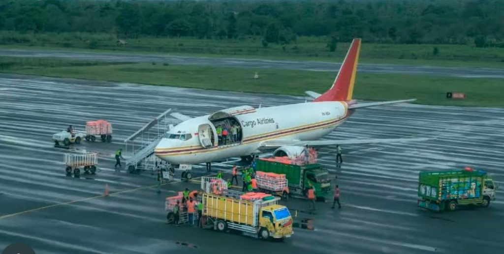 Bandara Frans Seda, Maumere NTT