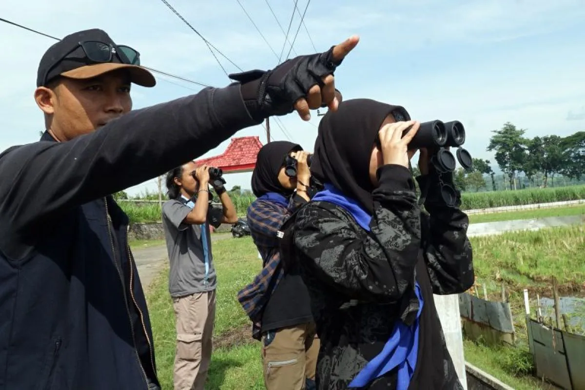Hijaukan Lahan Kritis, Pemkab Tulungagung Tulungagung Siapkan 10 Ribu Bibit untuk Penghijauan